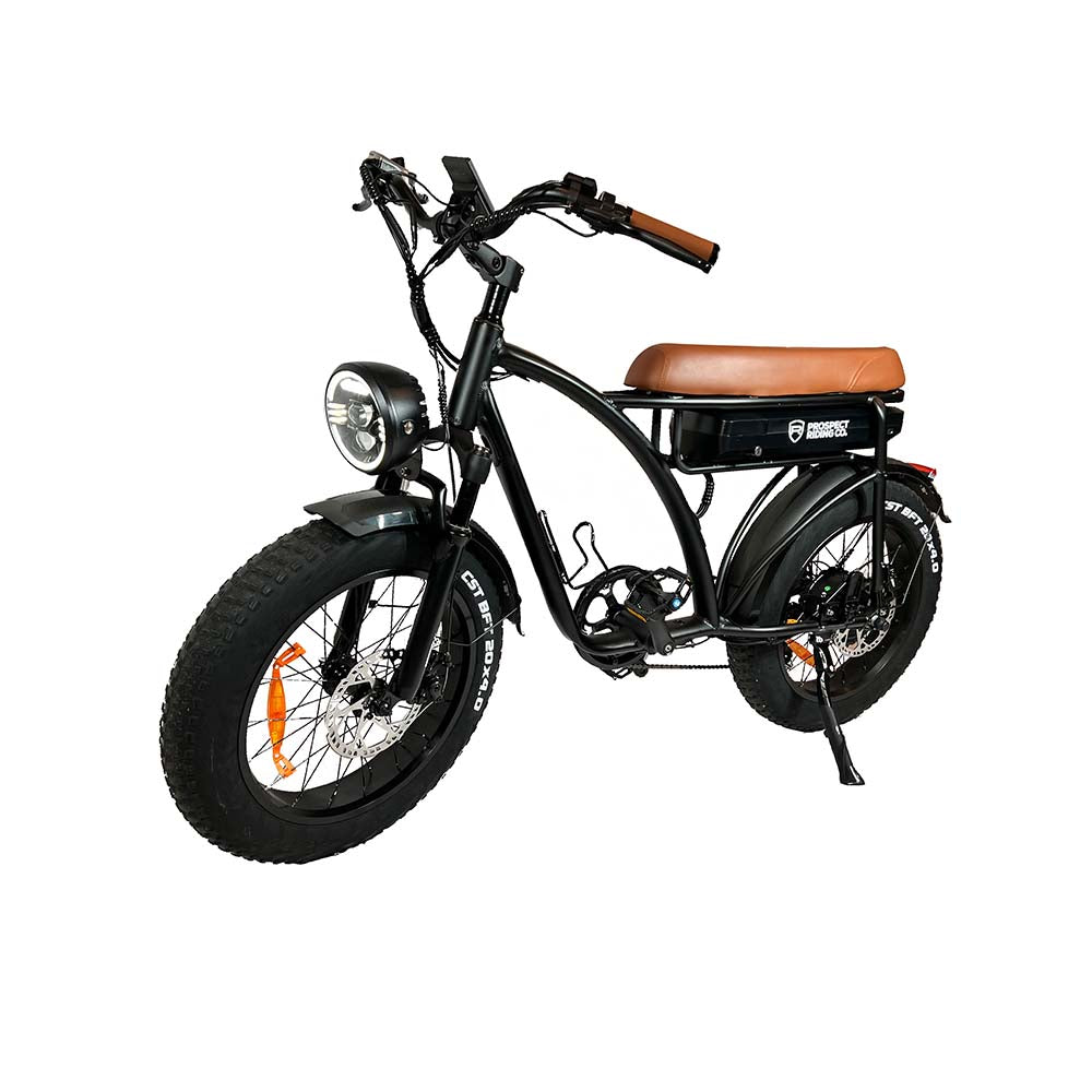 e-Bike Laguna Cruiser e-Bike Laguna Cruiser