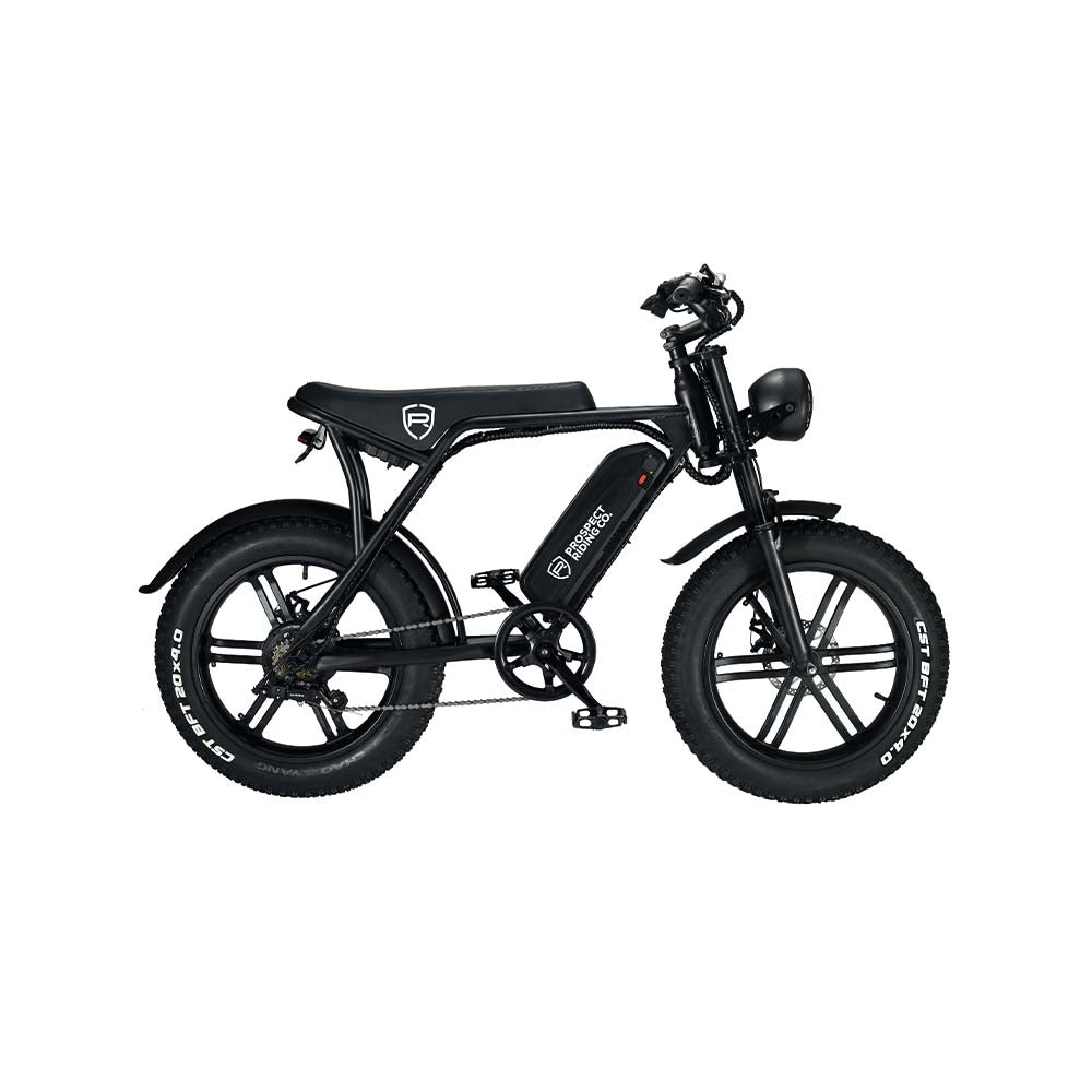 Venice Cruiser