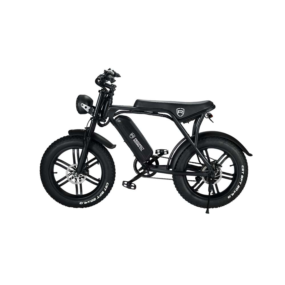 Venice Cruiser