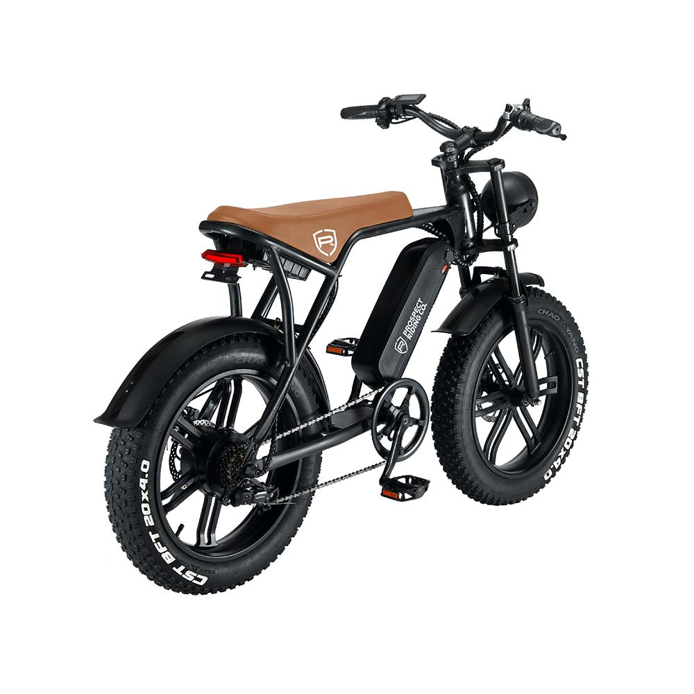 Venice Cruiser