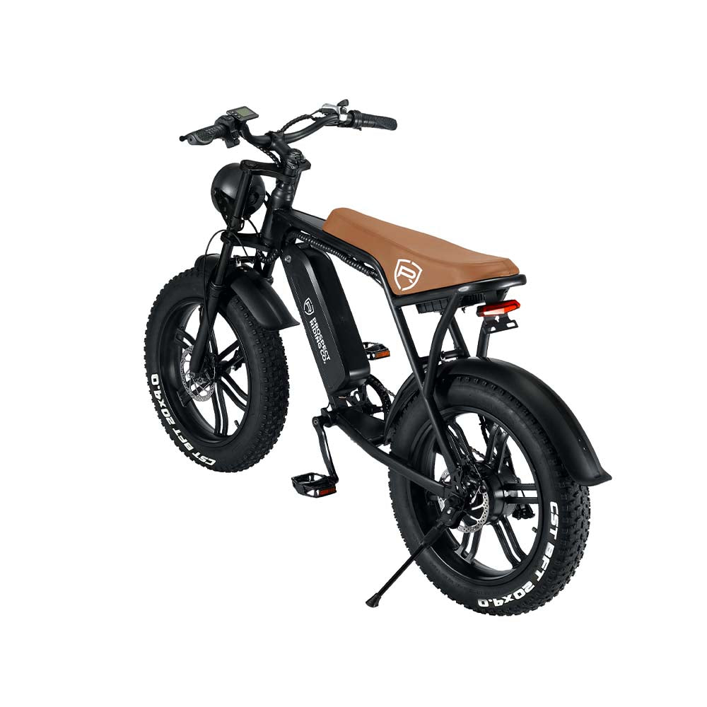 Venice Cruiser
