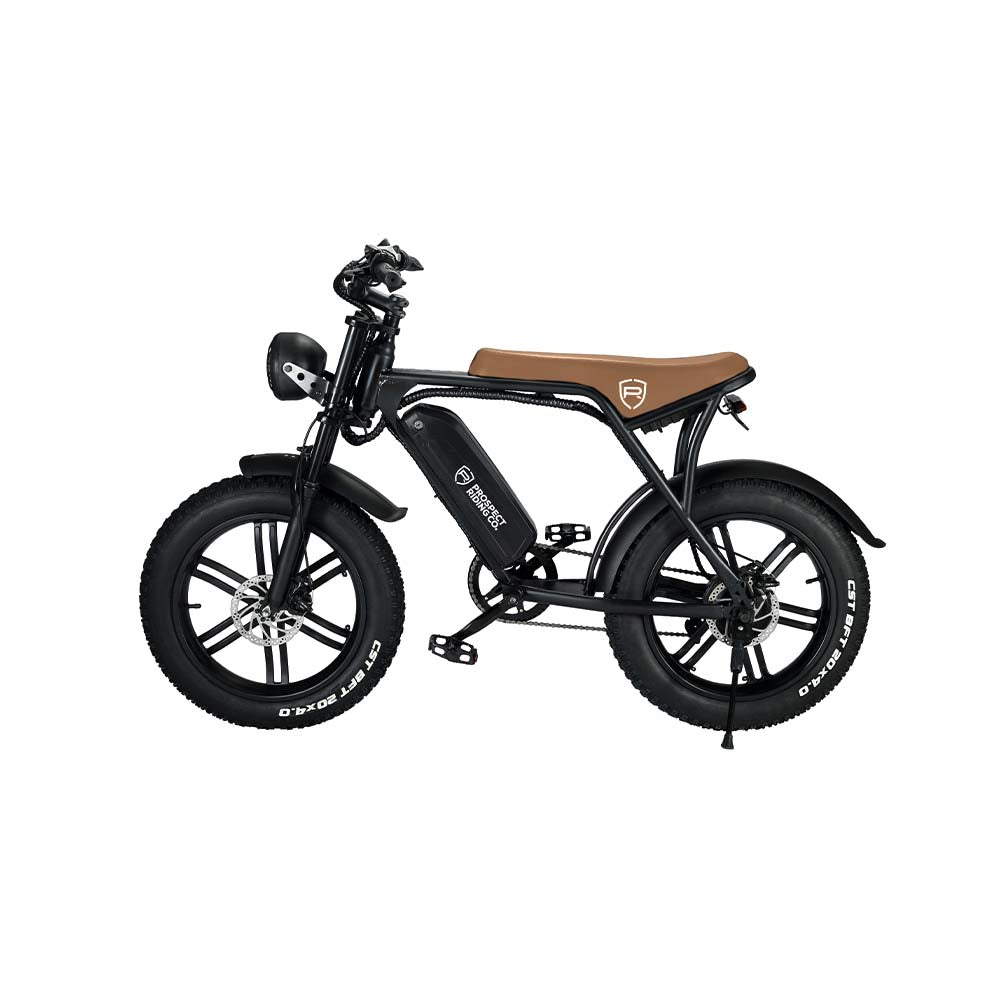 Venice Cruiser