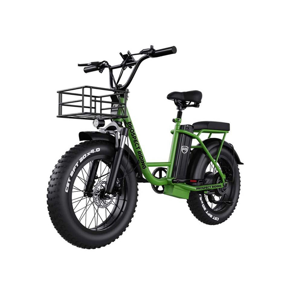 Malibu Cruiser