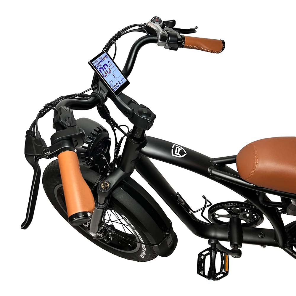 Laguna Cruiser